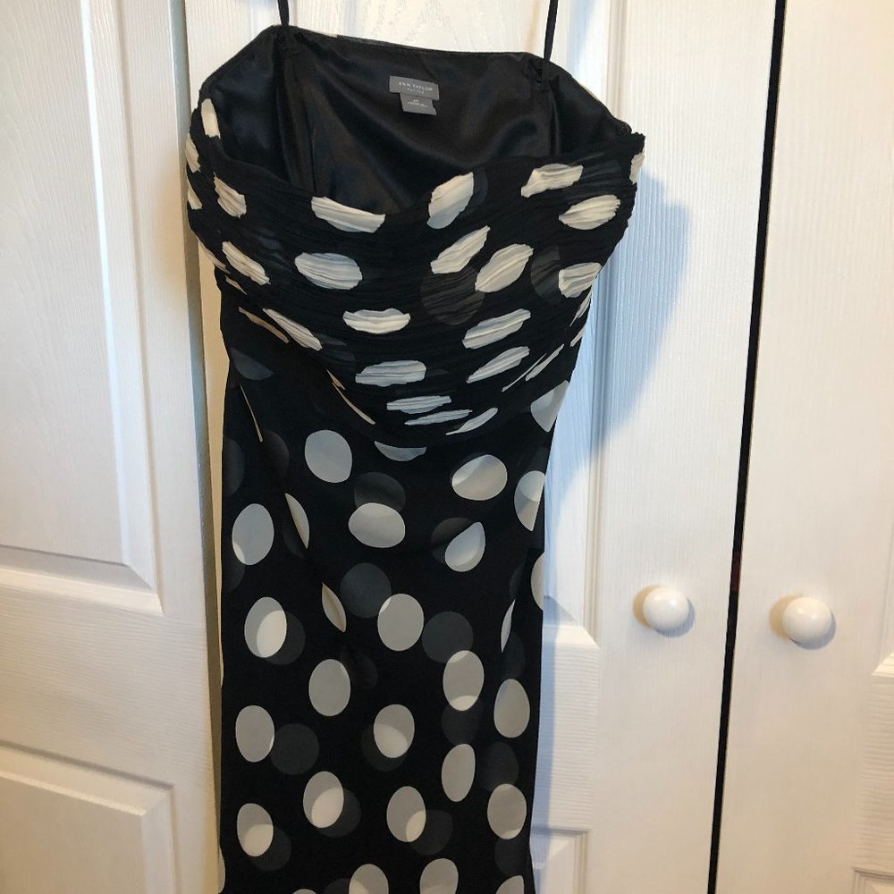 ANN TAYLOR Black with White Polka Dot Design